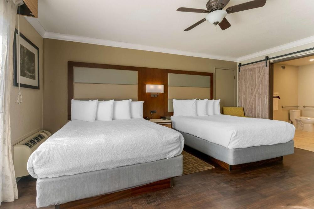 Best Western Plus Forest Park Inn