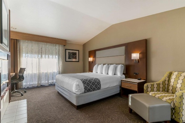 Best Western Plus Forest Park Inn image 7